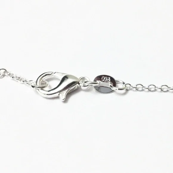 Antique 1875 Coin Necklace — “925” 18-inch Chain - Picture 4 of 5